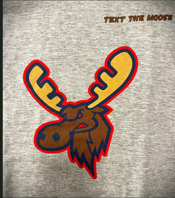 Cartoon-style moose head with large yellow antlers outlined in red on a gray background, with the phrase "TEXT THE MOOSE" in the top right corner