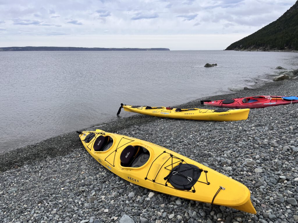 Colorful sea kayaks (yellow and red) resting on a rocky beach near St. John’s, Newfoundland, with forested cliffs and calm Atlantic water in the distance.